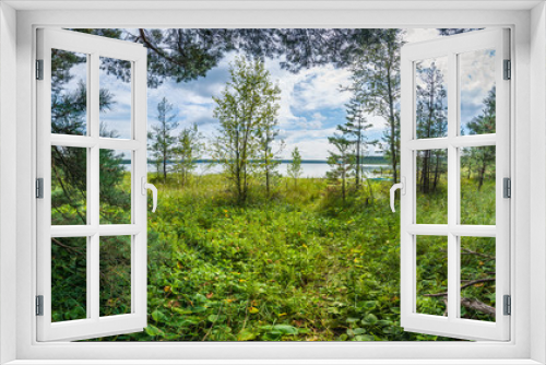 Fototapeta Naklejka Na Ścianę Okno 3D - Panoramic view of the densely overbed coast of the lake with branches of trees along the edges in the foreground