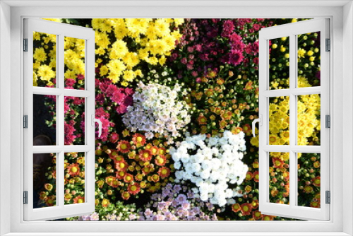 Fototapeta Naklejka Na Ścianę Okno 3D - colorful flower background of flowers