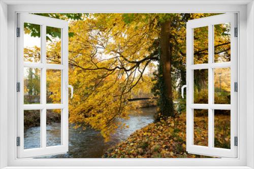 Fototapeta Naklejka Na Ścianę Okno 3D - Herbstbaum gelb