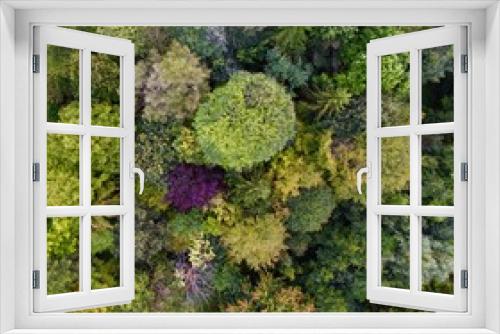 Fototapeta Naklejka Na Ścianę Okno 3D - Aerial trees 001