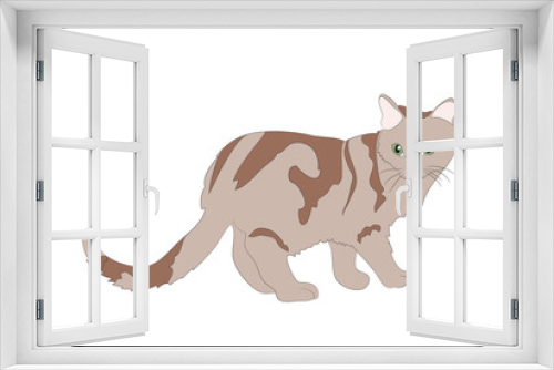Fototapeta Naklejka Na Ścianę Okno 3D - cat color, vector