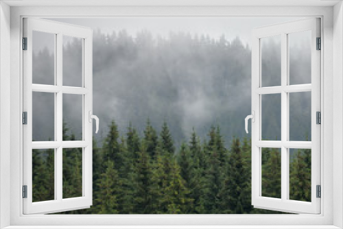 Fototapeta Naklejka Na Ścianę Okno 3D - Squared image of misty coniferous forest. Firs, larches.  Styria mountains, Austria