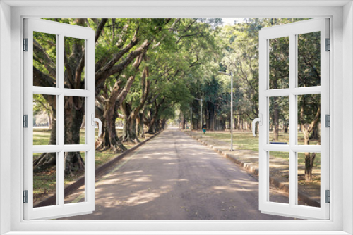 Fototapeta Naklejka Na Ścianę Okno 3D - A road/pathway with tree in a Ibirapuera park in the middle day of summer. With a front view, we have: Nature, relax, peaceful, lifesyle, health and leasure concept