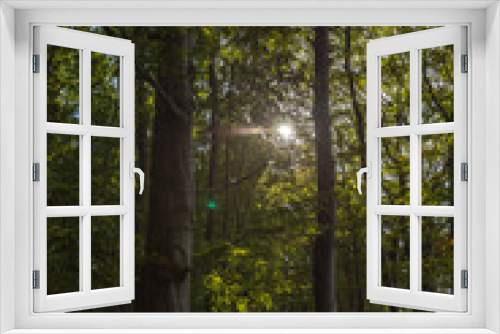 Fototapeta Naklejka Na Ścianę Okno 3D - Gespensterwald