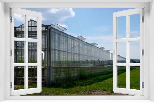Fototapeta Naklejka Na Ścianę Okno 3D - The greenhouses of the vegetable garden in the canton of Geneva in Switzerland.