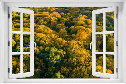 Fototapeta Naklejka Na Ścianę Okno 3D - Golden autumn background, aerial drone view of beautiful forest landscape with yellow trees from above
