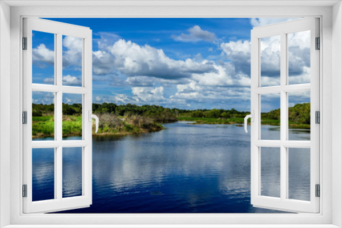 Fototapeta Naklejka Na Ścianę Okno 3D - Myakka River State Park, Florida