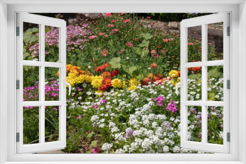 Fototapeta Naklejka Na Ścianę Okno 3D - Colorful Flowers in the garden