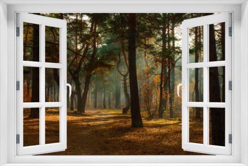 Fototapeta Naklejka Na Ścianę Okno 3D - walk in the forest. morning. Sun rays. beauty. autumn.