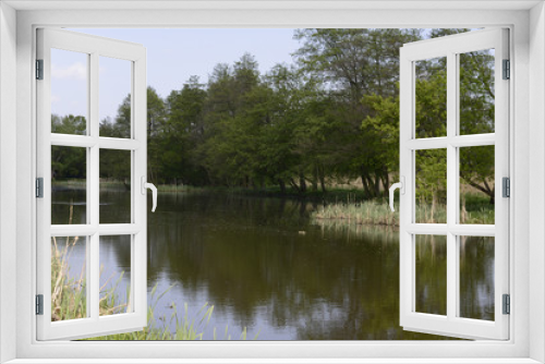 Fototapeta Naklejka Na Ścianę Okno 3D - Rzeka Jeziorka
