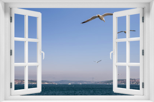 Fototapeta Naklejka Na Ścianę Okno 3D - A flock of seagulls flies in the sky over the Bosphorus.