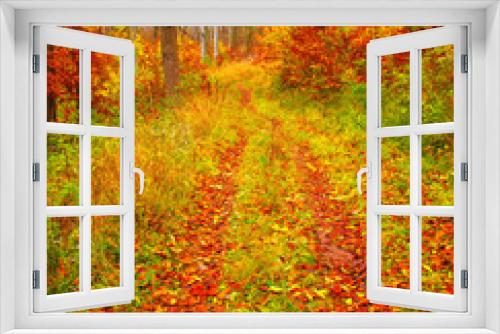 Fototapeta Naklejka Na Ścianę Okno 3D - Nice autumnal scene in the forest
