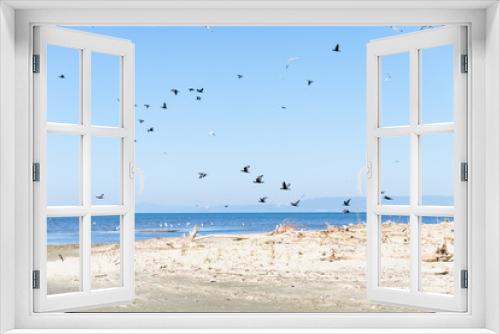 Fototapeta Naklejka Na Ścianę Okno 3D - Sea birds flying over the sea in Evros, Greece