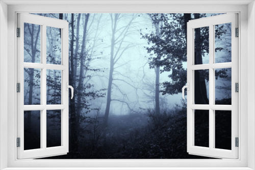 Fototapeta Naklejka Na Ścianę Okno 3D - forest fog, mysterious woods landscape