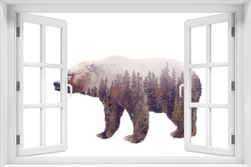 Fototapeta Naklejka Na Ścianę Okno 3D - Double exposure of a wild bear and a pine forest