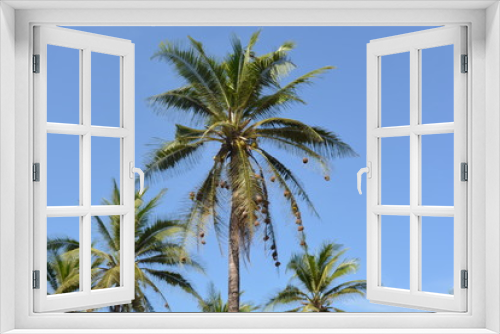 Fototapeta Naklejka Na Ścianę Okno 3D - palme