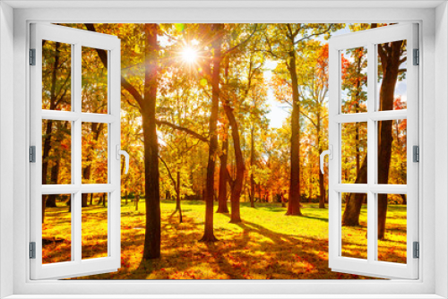 Fototapeta Naklejka Na Ścianę Okno 3D - Beautiful fall background