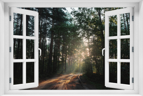 Fototapeta Naklejka Na Ścianę Okno 3D - The rays of the sun make their way through the branches to the road, the dawn in the forest.