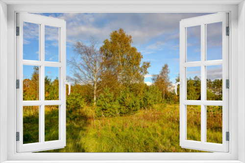 Fototapeta Naklejka Na Ścianę Okno 3D - Sunny autumn evening in the country.Shadows from the setting sun.