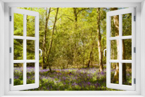 Fototapeta Naklejka Na Ścianę Okno 3D - The Bluebell Woods