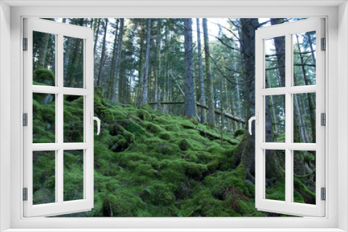 Fototapeta Naklejka Na Ścianę Okno 3D - path in forest
