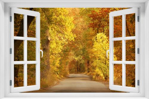 Fototapeta Naklejka Na Ścianę Okno 3D - Autumn forest road