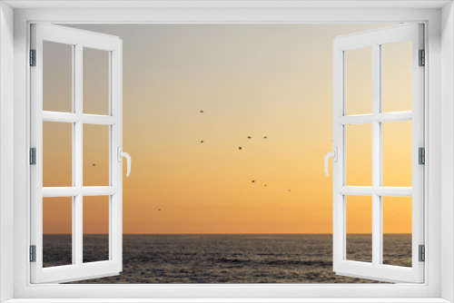 Fototapeta Naklejka Na Ścianę Okno 3D - Seagulls Flying near the Ocean at Sunset