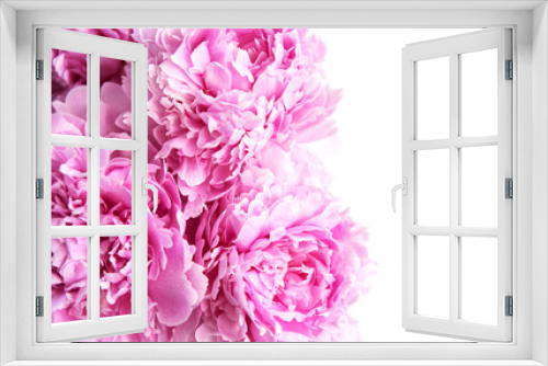 Fototapeta Naklejka Na Ścianę Okno 3D - Beauty pink peony flowers