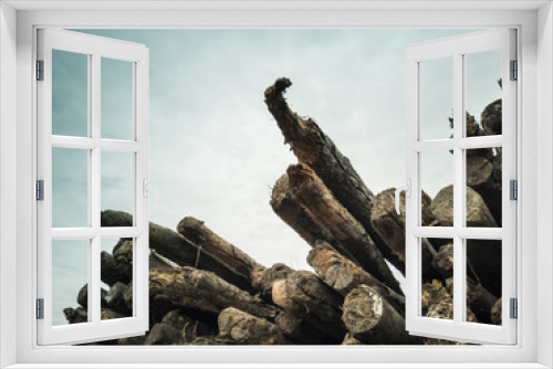 Fototapeta Naklejka Na Ścianę Okno 3D - A pile of wood on cloudy sky background