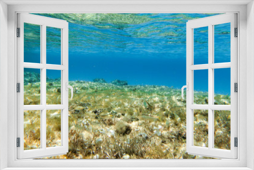 Fototapeta Naklejka Na Ścianę Okno 3D - underwater exploration in a paradise island