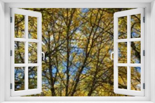 Fototapeta Naklejka Na Ścianę Okno 3D - Autumn sunlight through leaves on tree branches with a beautiful sky