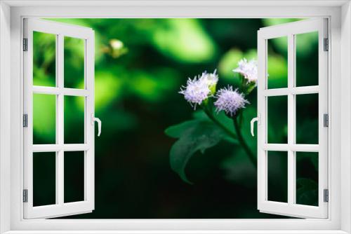 Fototapeta Naklejka Na Ścianę Okno 3D - Abstract flower grass natural background