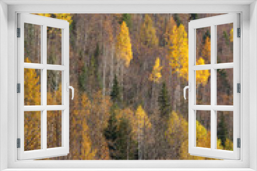 Fototapeta Naklejka Na Ścianę Okno 3D - A mountain side covered in colorful autumn trees, British Columbia, Canada