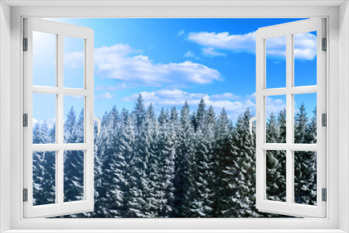 Fototapeta Naklejka Na Ścianę Okno 3D - Nadelwald im Winter bei blauem Himmel, Frost, Eis und Schnee