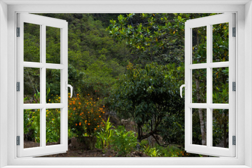 Fototapeta Naklejka Na Ścianę Okno 3D - Verde paisaje