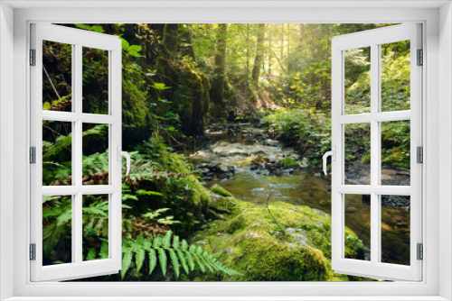 Fototapeta Naklejka Na Ścianę Okno 3D - Stream in rainforest.