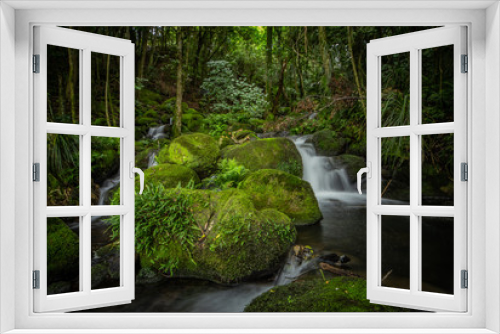 Fototapeta Naklejka Na Ścianę Okno 3D - Forest Stream