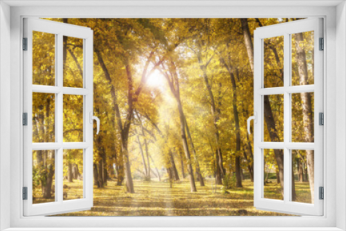 Fototapeta Naklejka Na Ścianę Okno 3D - The autumn park near the town, with yellow fallen leaves and bare branches of trees