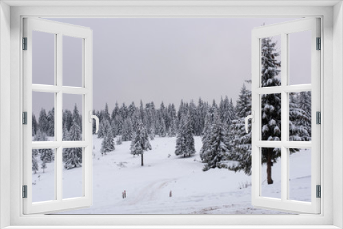 Fototapeta Naklejka Na Ścianę Okno 3D - Winter pine trees, Christmas concept