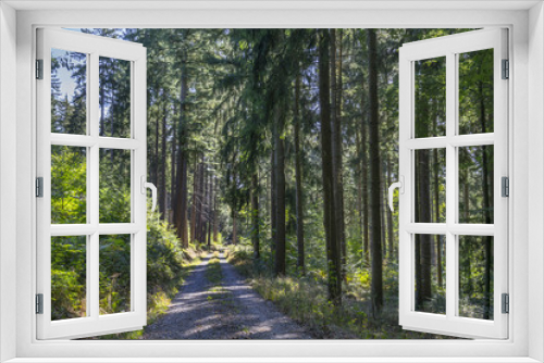 Fototapeta Naklejka Na Ścianę Okno 3D - Landschaftsidyll im Odenwald