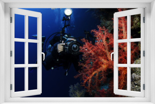 Fototapeta Naklejka Na Ścianę Okno 3D - underwater cameraman