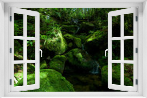 Fototapeta Naklejka Na Ścianę Okno 3D - Beautiful stream in green forest