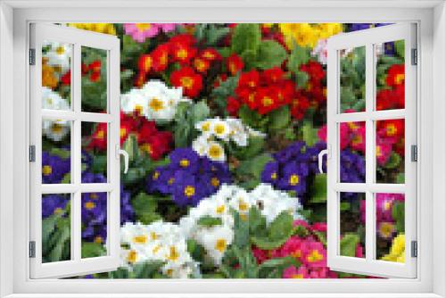 Fototapeta Naklejka Na Ścianę Okno 3D - multicolored flowers
