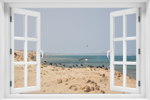 Fototapeta Naklejka Na Ścianę Okno 3D - Egipt , Marsa Alam,Wybrzeże
