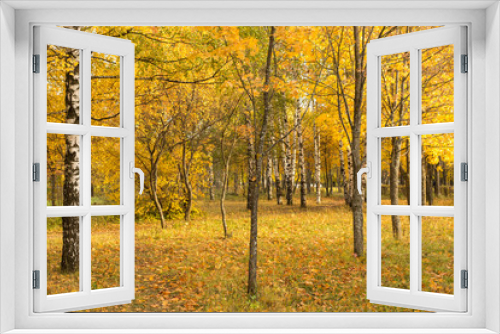 Fototapeta Naklejka Na Ścianę Okno 3D - Autumn trees and leaves in park. Golden fall