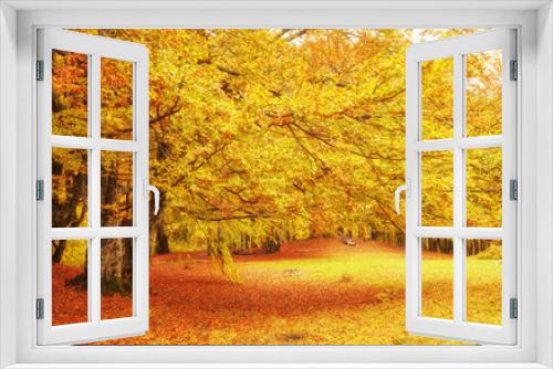 Fototapeta Naklejka Na Ścianę Okno 3D - Collection of Beautiful Colorful Autumn Leaves