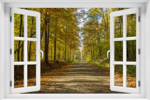 Fototapeta Naklejka Na Ścianę Okno 3D - Long dirt road through an autumn sunny forest