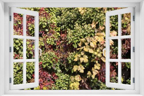 Fototapeta Naklejka Na Ścianę Okno 3D - Garden Wall (Germany)