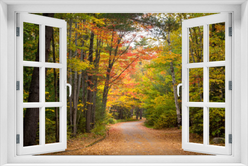 Fototapeta Naklejka Na Ścianę Okno 3D - Roadway Through Colorful Autumn Forest