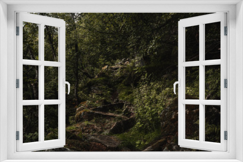 Fototapeta Naklejka Na Ścianę Okno 3D - Geirangers Fjord Hike
